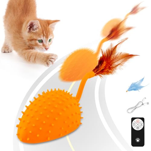 Katzenspielzeug Selbstbeschäftigung, Katzenspielzeug Elektrisch Beweglich mit 2 Federn und Fernbedienung, Interaktives Spielzeug für Katzen mit USB Aufladbar, Katzen Spielzeug (Orange) von FZQBEY