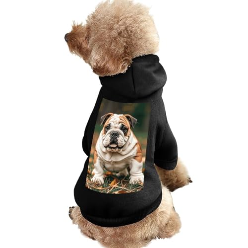 Hundepullover, warme Hunde- und Katzenbekleidung, Winter-Hundemantel mit Kapuze, weiche Haustierkleidung, Größe XS-2XL, für kaltes Wetter, niedliche Bulldogge, Hundejacke für kleine, mittelgroße Hunde Hundepullover, warme Hunde- und Katzenbekleidung, Winter-Hundemantel mit Kapuze, weiche Haustierkleidung, Größe XS-2XL, für kaltes Wetter, niedliche Bulldogge, Hundejacke für kleine, mittelgroße Hunde von FZQVSGW