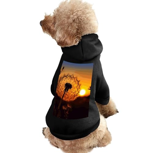 Hundepullover, warme Hunde- und Katzenkleidung, Winter-Hundemantel mit Kapuze, weiche Haustierkleidung, XS-2XL, kaltes Wetter, Sonnenuntergang, Löwenzahn, Hundejacke für kleine, mittelgroße Hunde und von FZQVSGW