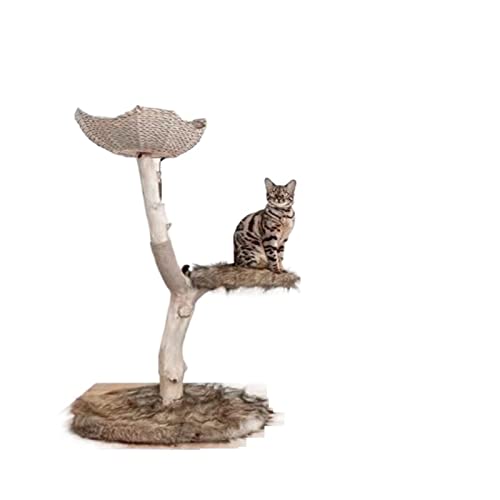 Katzenklettergerüst aus Naturholz, bequemes Katzenstreu mit Kissen, Katzensprungplattform, Schleifklaue, Katzenspielzeug von FaLkiN
