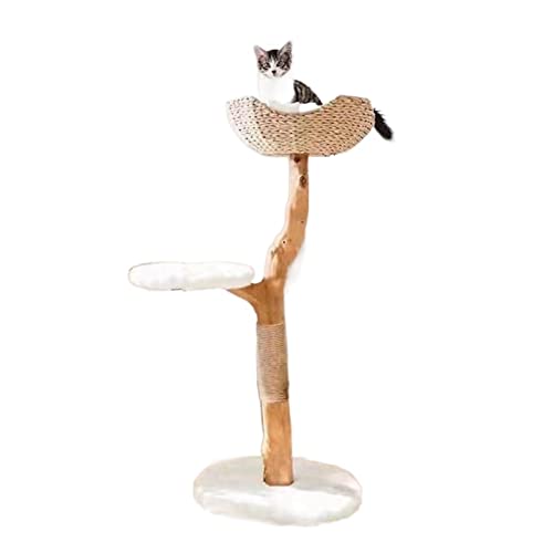 Katzenklettergerüst aus Naturholz, bequemes Katzenstreu mit Kissen, Katzensprungplattform, Schleifklaue, Katzenspielzeug von FaLkiN