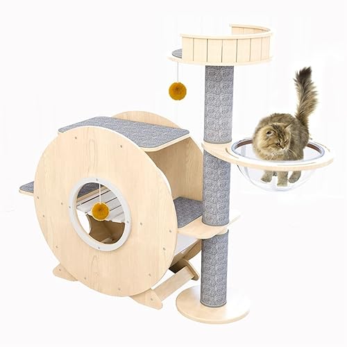 Kratzbaum, Katzenklettergerüst, klein, Nicht belegbar, Katzenstreu, Katzenbaum, eine Raumkapsel, Katzenkratzbaum, Katzenregal, Katzenturm Kratzbaum, Katzenklettergerüst, klein, Nicht belegbar, Katzenstreu, Katzenbaum, eine Raumkapsel, Katzenkratzbaum, Katzenregal, Katzenturm von FaLkiN