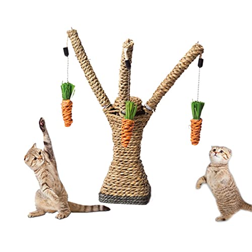 Lustige Katzen Kratzen Spielzeug Hängen Karotte Haustier Spielen Spielzeug Kätzchen Interaktive Ausbildung Baum Spielzeug Katzen Klettergerüst Spielzeug von FaLkiN