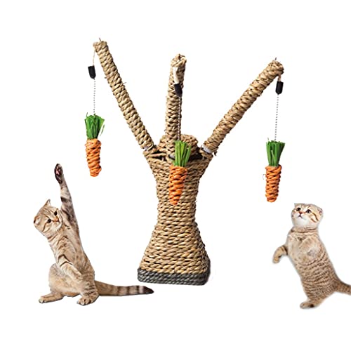 Lustige Katzen Kratzen Spielzeug Hängen Karotte Haustier Spielen Spielzeug Kätzchen Interaktive Ausbildung Baum Spielzeug Katzen Klettergerüst Spielzeug Lustige Katzen Kratzen Spielzeug Hängen Karotte Haustier Spielen Spielzeug Kätzchen Interaktive Ausbildung Baum Spielzeug Katzen Klettergerüst Spielzeug von FaLkiN