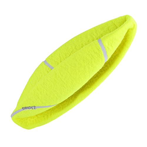 Fabater 9,5 -Zoll -Hunde Hundepupf Tennisball Langlebiges Kauenspielzeug für Hunde, Dicker Als Normale Bälle Ideal für Aktive, Strand Cricket von Fabater