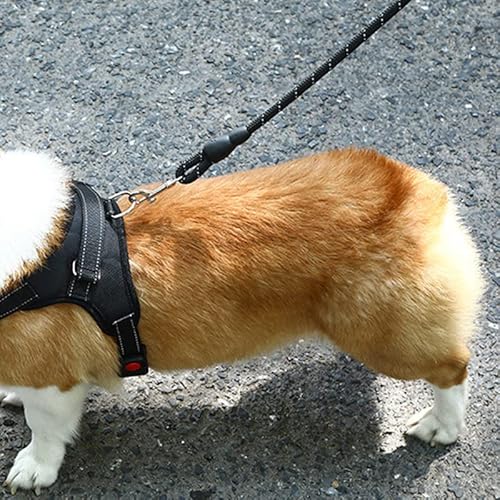 Hundegeschirr mit Reflektierendem Streifen, 360 Grad Rundherum, Explosionsgeschützte Haustierleine für Kleine, Mittelgroße und Große Hunde Zum Camping (S) von Fabater