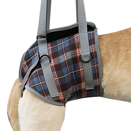 Fabater Hundehebe-Stützschlinge, Hautfreundlicher Hundehilfsgurt, Atmungsaktiv, Verstellbar, Blau Kariert, Abnehmbarer Handgriff für Behinderte für den Außenbereich (XL (30–40 kg / Fabater Hundehebe-Stützschlinge, Hautfreundlicher Hundehilfsgurt, Atmungsaktiv, Verstellbar, Blau Kariert, Abnehmbarer Handgriff für Behinderte für den Außenbereich (XL (30–40 kg / von Fabater