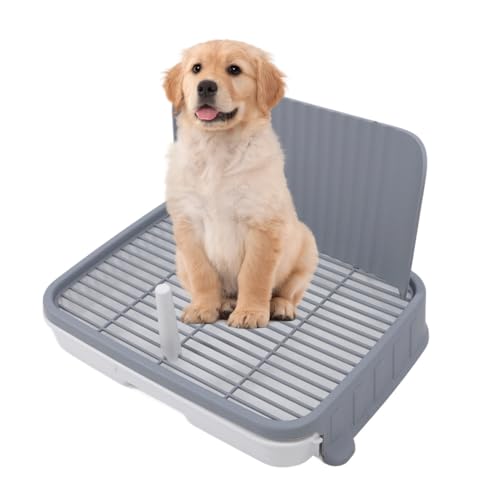Hundetöpfchenschale, Haustier Pee Mesh Töpfchen mit Spritzwand, Innenhund -Training -Toilettenschale, Hundedrüsenschachtel, Tragbarer Pee -Pad -Halter für Kleine Mittelgroße Hunde Hundetöpfchenschale, Haustier Pee Mesh Töpfchen mit Spritzwand, Innenhund -Training -Toilettenschale, Hundedrüsenschachtel, Tragbarer Pee -Pad -Halter für Kleine Mittelgroße Hunde von Fabater