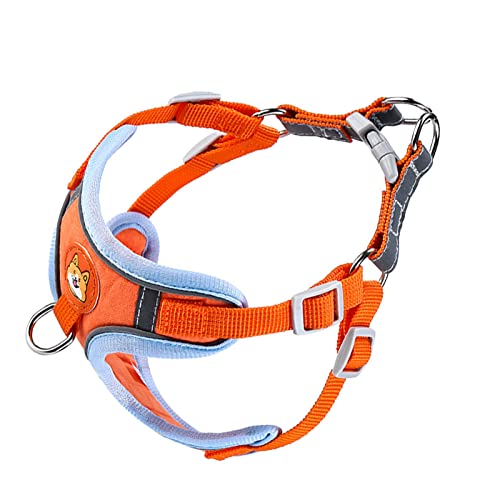 Fabater Hundewesten-Leine-Set, Bequem, Atmungsaktiv, Sicherheitsschnalle, Reflektierende Streifen, Hundegeschirr, Leine, Verstellbar, für Reisen, für Draußen, für Haustiere (L) von Fabater