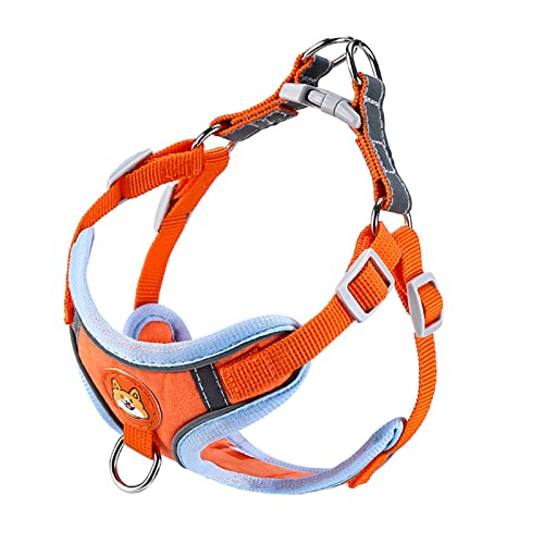 Fabater Hundewesten-Leine-Set, Bequem, Atmungsaktiv, Sicherheitsschnalle, Reflektierende Streifen, Hundegeschirr, Leine, Verstellbar, für Reisen, für Draußen, für Haustiere (M) von Fabater
