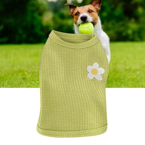 Kleine Hundeweste, Modische, Verschleißfeste, Bequeme Passform, Einfach zu Tragende, Atmungsaktive Katzenweste für die Ganze Saison (M) von Fabater