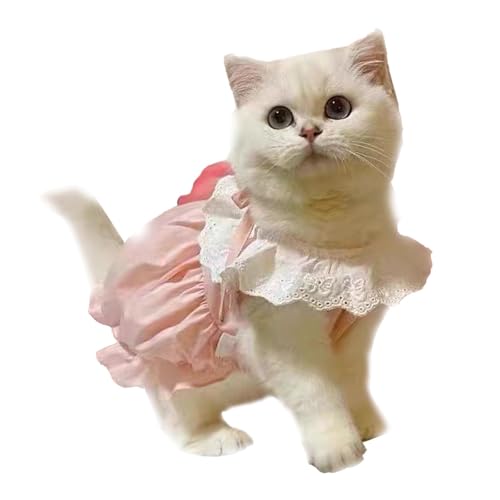 Niedliche Haustierkleidung, Modisches Kleid für Kleine Katzen, Fusselfrei, für Frühling und Herbst, Geeignet für Aktivitäten Im Innen- und Außenbereich (M) von Fabater