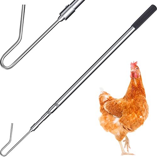 Fabbay Hühnerfänger aus Edelstahl, einziehbar, lang, für Geflügel, Truthahn, Gänse, Enten, Vogel, Silber, 72 cm / 28,35 Zoll / 147 cm in maximaler Länge Fabbay Hühnerfänger aus Edelstahl, einziehbar, lang, für Geflügel, Truthahn, Gänse, Enten, Vogel, Silber, 72 cm / 28,35 Zoll / 147 cm in maximaler Länge von Fabbay