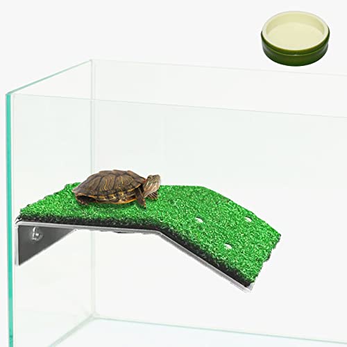 Fabmode Turtle Basking Plattform für Reptilien, Kletterleiter für Terrasse, Schildkröte, Zubehör von Fabmode