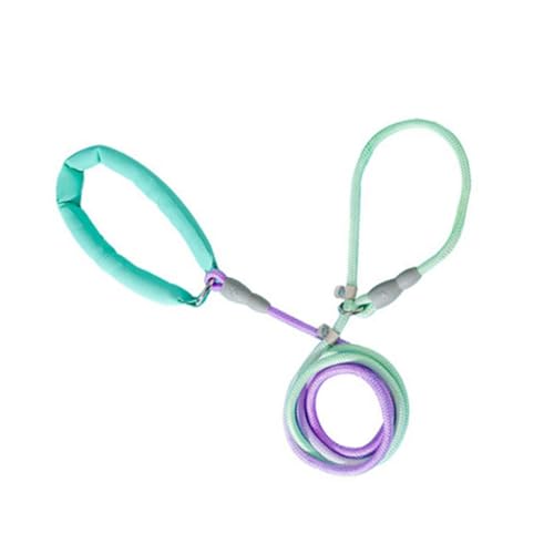150/200/250 cm langes Zugseil für Hunde, flexible Hundeleine für Hunde, Traktionsseil, Leine mit Farbverläufen, für Spaziergänge im Freien 150/200/250 cm langes Zugseil für Hunde, flexible Hundeleine für Hunde, Traktionsseil, Leine mit Farbverläufen, für Spaziergänge im Freien von FackLOxc