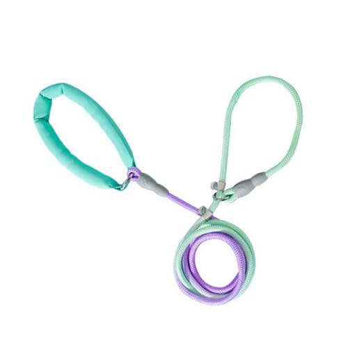 150/200/250 cm langes Zugseil für Hunde, flexible Hundeleine für Hunde, Traktionsseil, Leine mit Farbverläufen, für Spaziergänge im Freien 150/200/250 cm langes Zugseil für Hunde, flexible Hundeleine für Hunde, Traktionsseil, Leine mit Farbverläufen, für Spaziergänge im Freien von FackLOxc