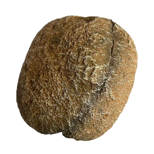 FackLOxc Magnetische Verstecks Haus Aquarien Felsenhöhlen Terrarien Landschaft Dekore Schutz Für Reptilien Zuchtzubehör FackLOxc Magnetische Verstecks Haus Aquarien Felsenhöhlen Terrarien Landschaft Dekore Schutz Für Reptilien Zuchtzubehör von FackLOxc