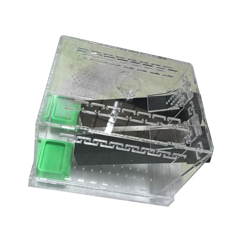 Grillenszüchtungskasten Mit Lebensmittelwasserbecken Und Absorbierender Baumwollzüchtungskoffer Grillenszüchtungskasten Mit Lebensmittelwasserbecken Und Absorbierender Baumwollzüchtungskoffer von FackLOxc