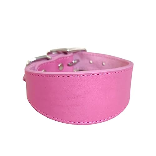 Leathers Dogs Collar Soft Padded Collar For Whippets Salukis Sighthounds Dogs Adjustable Collar Large Breeds Dogs Supply Dogs Collar Leathers Collar Padded Collar Wide Collar von FackLOxc