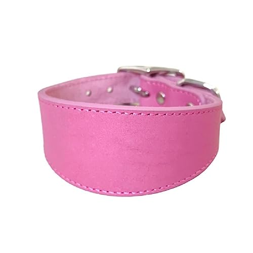 Leathers Dogs Collar Soft Padded Collar For Whippets Salukis Sighthounds Dogs Adjustable Collar Large Breeds Dogs Supply Dogs Collar Leathers Collar Padded Collar Wide Collar von FackLOxc