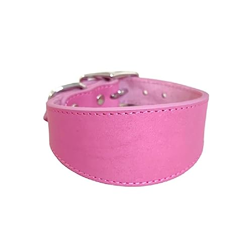 Leathers Dogs Collar Soft Padded Collar For Whippets Salukis Sighthounds Dogs Adjustable Collar Large Breeds Dogs Supply Dogs Collar Leathers Collar Padded Collar Wide Collar von FackLOxc