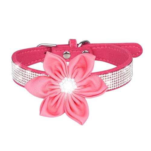 Factorys Haustierhalsband, glänzendes Strass-Hundehalsband, kleine und mittelgroße Hundeleine, Mikrofaser-Katzenhalsband Hundehalsband Gepolstert (N, F) von Factorys