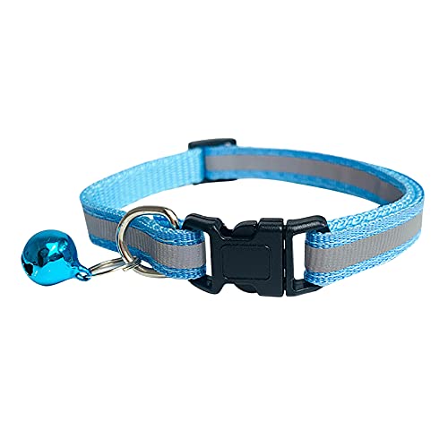 Factorys Hundehalsband aus Nylon, Verstellbare und Reflektierend, Halsband Hund mit Weich Neopren Gepolstert für Welpen Kleine Mittel Große Hunde (Himmelblau) von Factorys