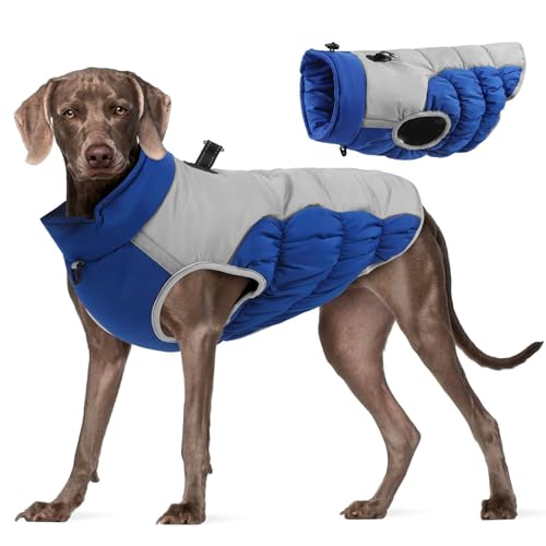 Winter Warme Hundejacke Winddicht Hundemantel für Mittelgroße Hunde Wasserdicht Wintermantel Reflektierender Rollkragenpullover Hundejacke Ärmellose Haustier Kostüm Outdoor Winter Warme Hundejacke Winddicht Hundemantel für Mittelgroße Hunde Wasserdicht Wintermantel Reflektierender Rollkragenpullover Hundejacke Ärmellose Haustier Kostüm Outdoor von Factorys