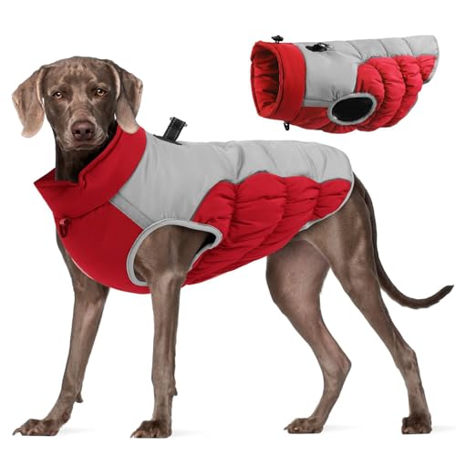Winter Warme Hundejacke Winddicht Hundemantel für Mittelgroße Hunde Wasserdicht Wintermantel Reflektierender Rollkragenpullover Hundejacke Ärmellose Haustier Kostüm Outdoor Winter Warme Hundejacke Winddicht Hundemantel für Mittelgroße Hunde Wasserdicht Wintermantel Reflektierender Rollkragenpullover Hundejacke Ärmellose Haustier Kostüm Outdoor von Factorys