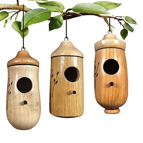 3 St Kolibri-Nest Vogelhäuschen Aus Holz Zum Aufhängen Vogel Hut Hand Gesponnene Hummingbird Nest von Facynde