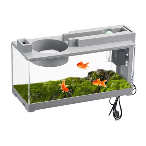 Aquarium Terrarium Faunarium Zucht Becken klein Fisch Triops Garnelen Kunststoff Plastik Aquarium, Nano Klein Aquarium mit Filter und Buntem von Facynde