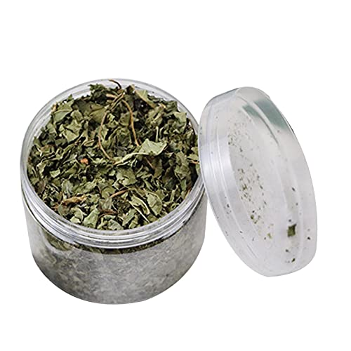 Cat Katzenminze Katzenminze Catnip Kraut Für Katzenspielzeug Catnip Natürliche Katzenminze Cat Katzenminze Katzenminze Catnip Kraut Für Katzenspielzeug Catnip Natürliche Katzenminze von Facynde