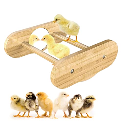 FacynHühnerstall | Hühnerstall mit Spiegel – Sitzstange aus Holz Dschungel Küken Gym für Vogel Papagei Hühner Hinterhof Baby Küken Zubehör von Facynde