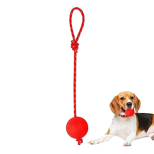 Facynde Ball mit Seil Hundespielzeug, Interaktive Gummibälle, Tragbare Vollgummi-Hundebälle, Kauspielzeug, Gummi-Hundeseilbälle für große, kleine und mittelgroße Hunde von Facynde