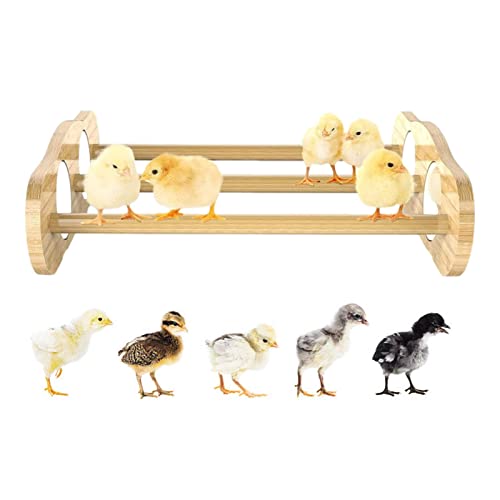 Facynde Hühnersitzstangen mit Spiegeleinsatz – Mini-Kükensitzstange aus Holz, stabile Ruhestange für Hühnerstall und Brutmaschine, Training von Facynde