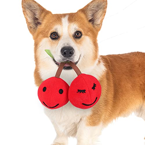 Facynde Quietschendes Hundespielzeug - Kauspielzeug für Hunde,Interaktives Hundespielzeug zum Spielen, Trainieren und Trainieren – kirschförmiger Schnüffelball für kleine, mittlere und große von Facynde
