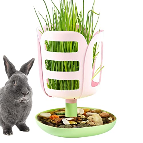 Heuhalter für Kaninchen | 2-in-1-Halter für Kaninchenheu mit großem Fassungsvermögen für weniger Lebensmittelverschwendung - Haustier-Selbstfütterung, Heumanagement-Grashalter für Kaninchen Facynde von Facynde