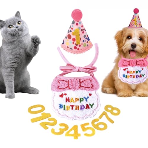 Katzen-Geburtstagshut, Katzen-Motto-Geburtstagsparty-Hüte - Cat Geburtstagsmütze - Katzen-Happy- - -Dekorationen, festliches Katzen-Geburtstagshalsband, Geburtstagszubehör mit de von Facynde