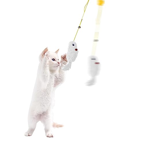 Katzenspielzeugtür | Interaktives Katzenspielzeug für Wohnungskatzen - Indoor-Katzenübung, integrierter analoger Mausruf, verstellbares Gummiband, verschiedene Aufhängungen für Katze, Kätzchen Facynde von Facynde