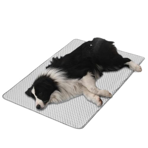 Kühlmatte für Hunde, Haustierkühlmatte für Katzen | Atmungsaktive Haustier-Eismatte,Sommer-Schlafmatratze für drinnen und draußen, Hunde-Kühlunterlage für Haustiere, Hunde, Katzen, Welpen, Kätzchen Kühlmatte für Hunde, Haustierkühlmatte für Katzen | Atmungsaktive Haustier-Eismatte,Sommer-Schlafmatratze für drinnen und draußen, Hunde-Kühlunterlage für Haustiere, Hunde, Katzen, Welpen, Kätzchen von Facynde