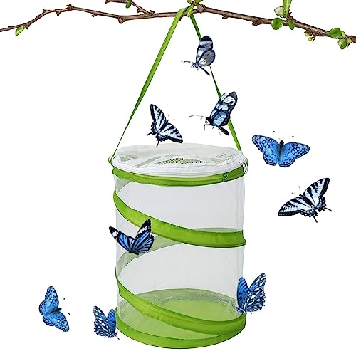 Schmetterlingslebensraum | Terrarium-Popup-Gehäuse aus durchsichtigem Netz | Caterpillar Habitat erleichtert das Durchschauen, Schmetterlingsgehege für den Innenbereich, 16 x 20 cm hoch Facynde von Facynde