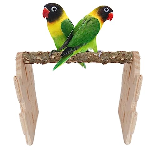 Vogelbarschständer | Tischständer in Kaktusfor aus Holz | Niedliche Sitzstangen für Haustiere zum Trainieren, Spielen, Klettern, tragbarer, verdickter Papageienständer für den Käfig Facynde von Facynde