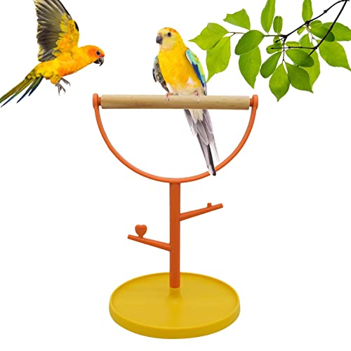 Vogelstangenständer | Barschhalter Sittiche Vogelkäfig,Bissfeste Tischplatte aus Holz für Papageien, Lovebirds, Nymphensittiche Facynde von Facynde