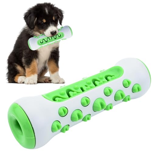 Fadcaer Kauspielzeug für Hunde, Gummi, Zahnbürste, Zahnspielzeug für Welpen, Haustiere, interaktives Spielzeug, unzerstörbares Hundespielzeug, Zahnpflege für kleine oder mittelgroße Hunde, Grün von Fadcaer
