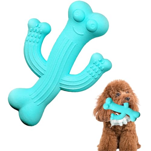 Fadcaer Kauspielzeug für Hunde, Kaktus, Naturkautschuk, robustes Hundespielzeug, langlebiges Zahnreinigungsspielzeug, Kauspielzeug, unzerstörbares Hundespielzeug für kleine Rassen, Blau von Fadcaer