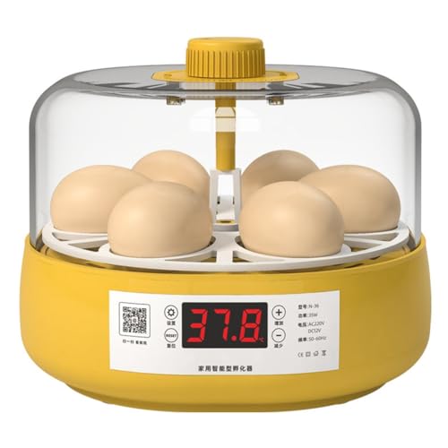 Faeymth Mini-Vogelbrutkasten, Automatischer Heimbrutkasten, Automatischer Brutkasten, Elektrischer Kinder-Hühnervogel, 6 Eier, EU-Stecker, Langlebig, Einfache Installation, Einfach zu Bedienen von Faeymth