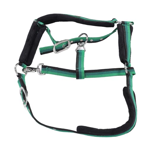 Fafeims Haltbarer Nylonpferdhalter, Einstellbar mit Ergonomischem Design für Training, Reiten und Handhabung, Einfache Wartung, Passform und Premium -Komfort. (M 25x25x10.5cm / 9.8x9.8x4.1in) von Fafeims