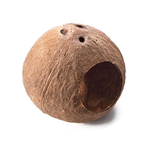 Fahoujs Hamster Haus Verstecke Klettern Leiter Klettertier Lebensraum Naturkokosnüsse Spielen Hauskauen Spielzeug Für Zwerghamster Haustier Versteck Haus Fahoujs Hamster Haus Verstecke Klettern Leiter Klettertier Lebensraum Naturkokosnüsse Spielen Hauskauen Spielzeug Für Zwerghamster Haustier Versteck Haus von Fahoujs