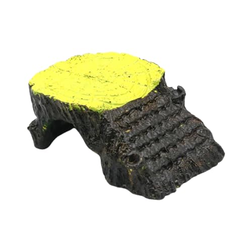 Fahoujs Reptilien Ruheplattform Die Sich Mit Vielseitigen Turtles Habitat Zubehör Amphibien Accessoire Rampen Rampen Fahoujs Reptilien Ruheplattform Die Sich Mit Vielseitigen Turtles Habitat Zubehör Amphibien Accessoire Rampen Rampen von Fahoujs