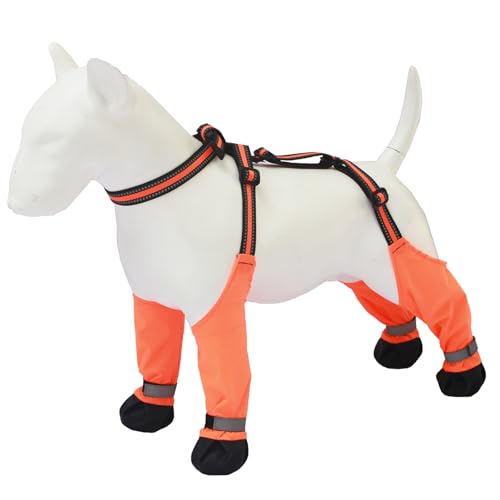 Hundestiefel Hosenträger Für Outdoor Aktivität Fußschutz Antislip Haustier Reflexionsschuhe Für Wanderausrüstung Freien Campingausrüstung Hund Wanderschuiten Hundestiefel Hosenträger Für Outdoor Aktivität Fußschutz Antislip Haustier Reflexionsschuhe Für Wanderausrüstung Freien Campingausrüstung Hund Wanderschuiten von Fahoujs